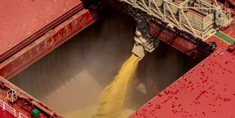 Exportaciones agrícolas: las DJVE marcaron un récord histórico en agosto