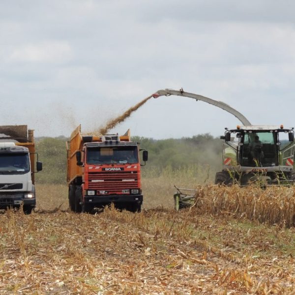 Entre Ríos puso en vigencia el nuevo régimen ambiental para la actividad productiva tras reglamentar la Ley Nº 11.250