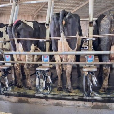El Índice de Actividad de la Cadena Agropecuaria marcó un nuevo récord impulsado por la producción primaria