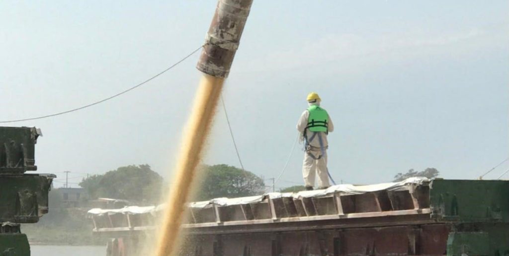 Exportaciones récord: el agro superó las 80 millones de toneladas entre enero y agosto
