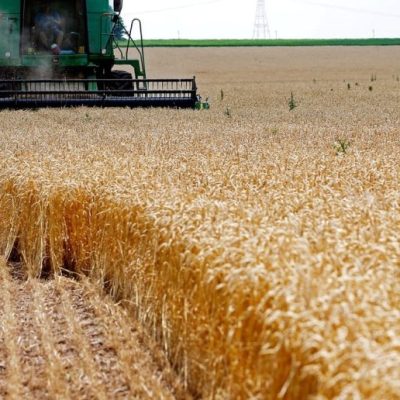 Campaña agrícola 2026/27: estiman 155,8 millones de toneladas y exportaciones récord