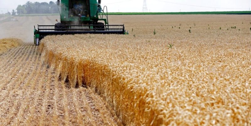Campaña agrícola 2026/27: estiman 155,8 millones de toneladas y exportaciones récord