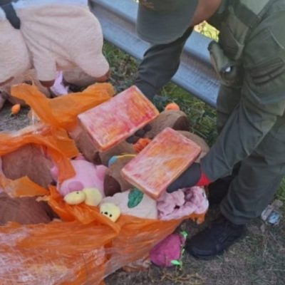 Gendarmería secuestró casi 50 kilos de marihuana y cuatro de cocaína ocultos en juguetes en Cuyo