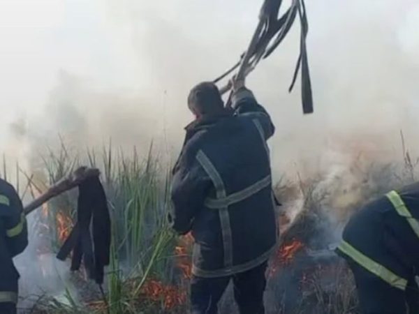 Bomberos contuvieron focos ígneos que afectaron casi 80 hectáreas en Misiones