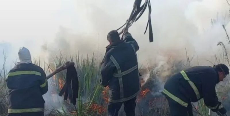 Bomberos contuvieron focos ígneos que afectaron casi 80 hectáreas en Misiones