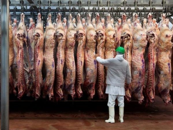 La agroindustria aportó un tercio del Producto Bruto Geográfico y el 72% del valor de los bienes en Santa Fe