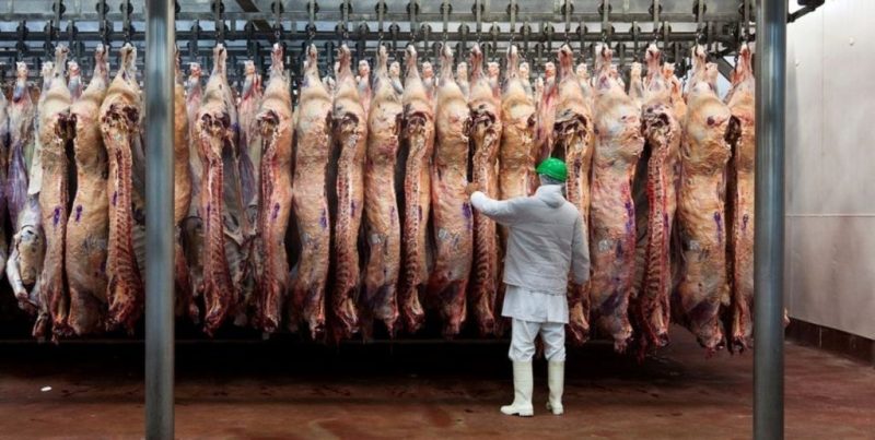 La agroindustria aportó un tercio del Producto Bruto Geográfico y el 72% del valor de los bienes en Santa Fe