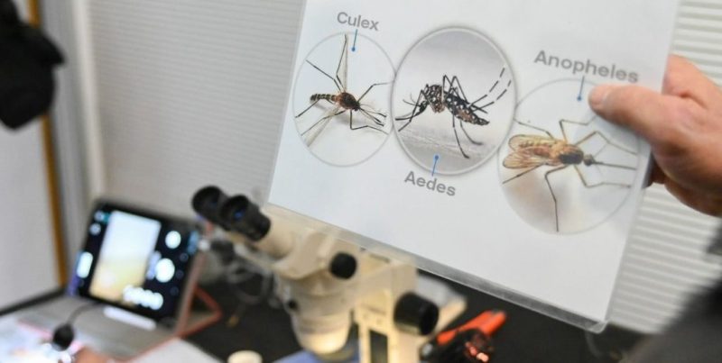 Alerta sanitaria en la ciudad de Santa Fe por casos de dengue y leptospirosis tras las lluvias