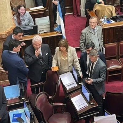 El Senado de la Nación dio media sanción a la reforma de la Ley de Salud Mental que habilita internaciones involuntarias