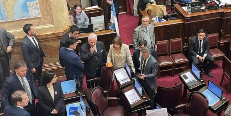El Senado de la Nación dio media sanción a la reforma de la Ley de Salud Mental que habilita internaciones involuntarias