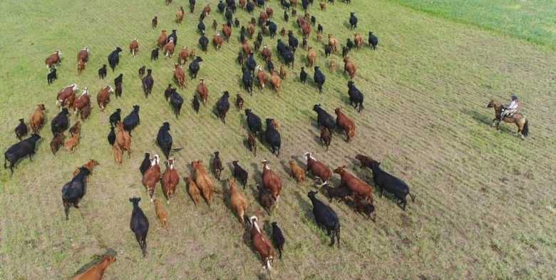 Rosario será sede del Congreso Federal Ganadero con eje en la industria y el comercio internacional de carnes