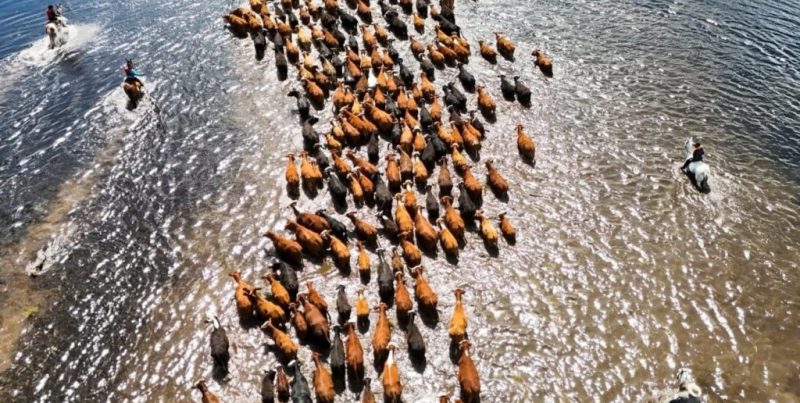 Inundaciones por El Niño: facilitan trámites para evacuar hacienda en Santa Fe y otras provincias