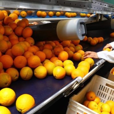 Las exportaciones agroindustriales crecieron 21% a la UE tras el acuerdo con el Mercosur