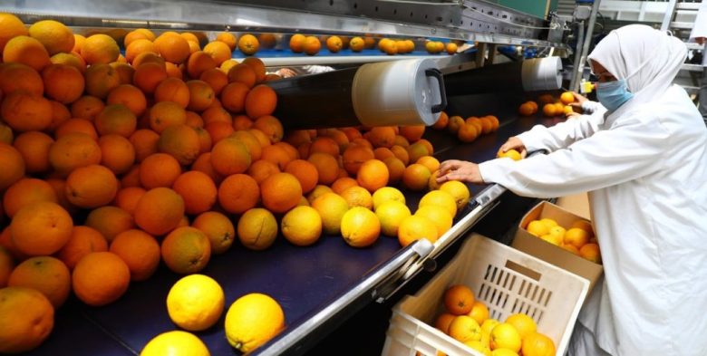Las exportaciones agroindustriales crecieron 21% a la UE tras el acuerdo con el Mercosur