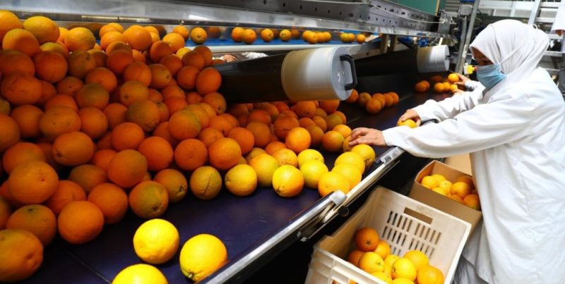 Las exportaciones agroindustriales crecieron 21% a la UE tras el acuerdo con el Mercosur