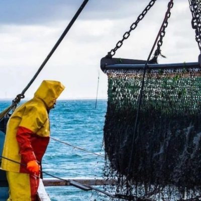 La pesca pierde impulso en la segunda parte del año: la producción acumula tres meses en baja