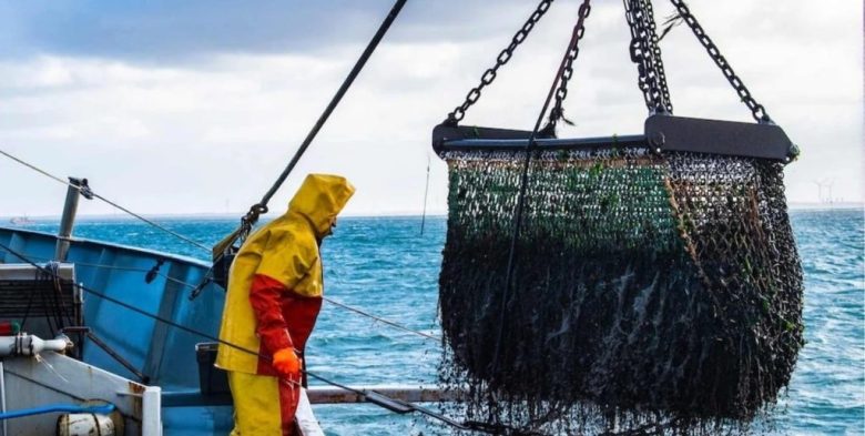 La pesca pierde impulso en la segunda parte del año: la producción acumula tres meses en baja