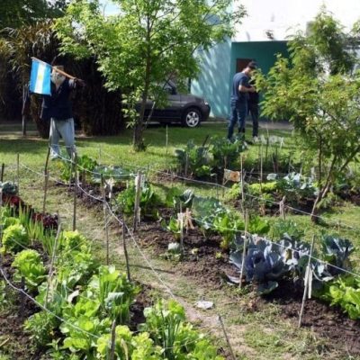 Salud y comunidad: lanzan un plan de huertas comunitarias e integración social en los barrios de Santa Fe