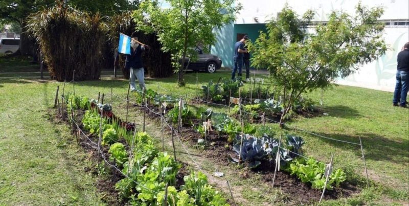 Salud y comunidad: lanzan un plan de huertas comunitarias e integración social en los barrios de Santa Fe