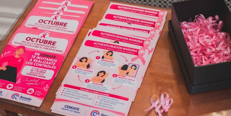 Cáncer de mama: la Legislatura de Santa Fe impulsa actividades de concientización y prevención