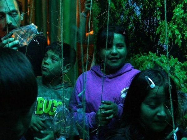 La Reserva del Oeste sumó una sala inmersiva y un piletón para criar peces nativos