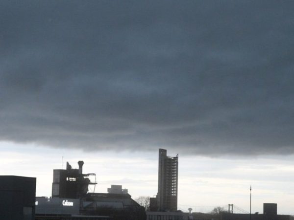 Temporal en Santa Fe: calles anegadas, caída de árboles y cortes de luz tras fuertes ráfagas