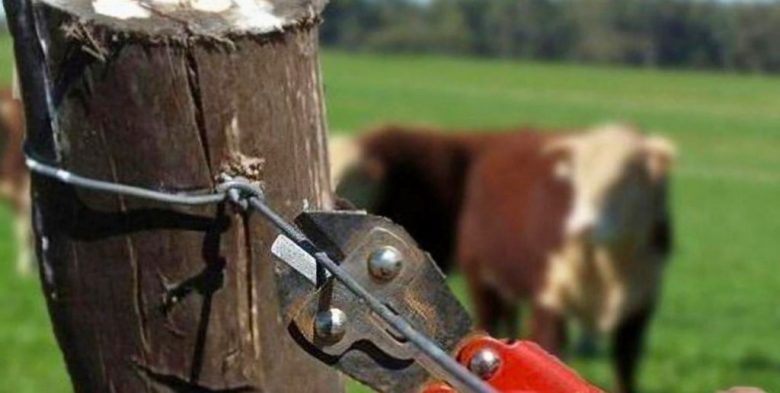 Inseguridad rural: productores de La Paz reclamaron medidas urgentes y más equipamiento policial