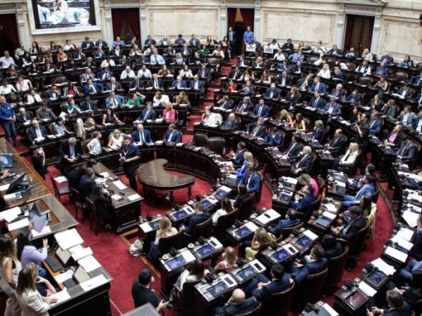 Discapacidad, deudores y Ley de Tierras: Diputados sesiona desde este mediodía