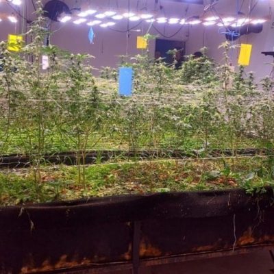 Operativo antidrogas en Malabrigo: detuvieron a un hombre y una mujer con más de tres kilos de marihuana