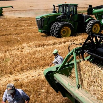 Campaña agrícola: qué tasas pagan los productores para financiar la siembra y compra de insumos