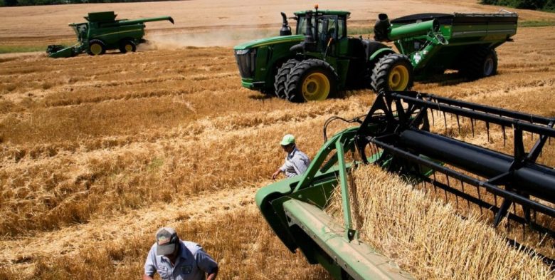Campaña agrícola: qué tasas pagan los productores para financiar la siembra y compra de insumos