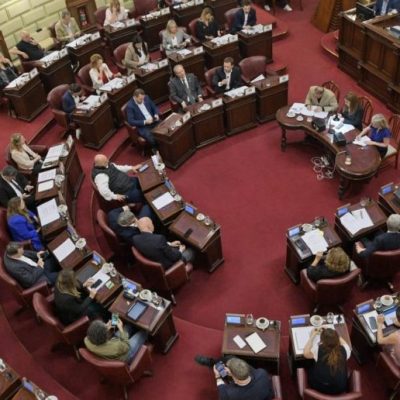 Legislatura de Santa Fe: Diputados aprobó la ley contra el comercio ilegal de celulares