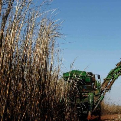 Estados Unidos amplía el cupo para el azúcar argentino en casi 2.800 toneladas