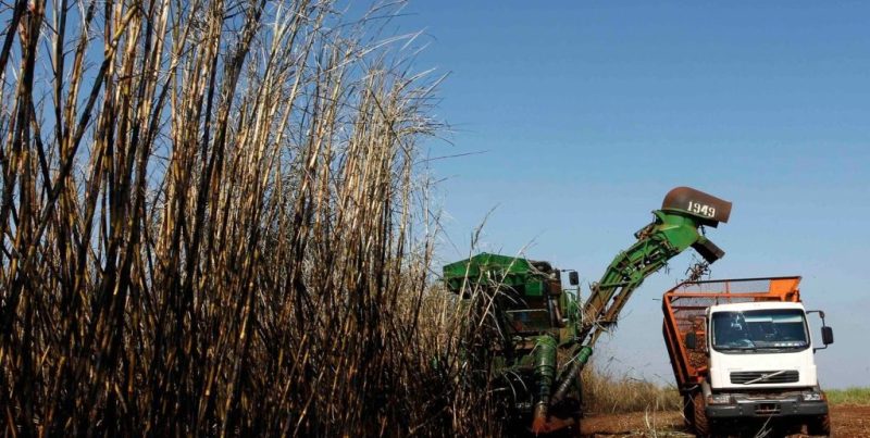 Estados Unidos amplía el cupo para el azúcar argentino en casi 2.800 toneladas