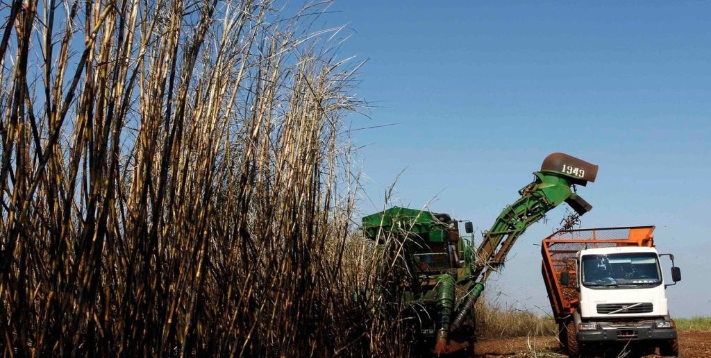 Estados Unidos amplía el cupo para el azúcar argentino en casi 2.800 toneladas