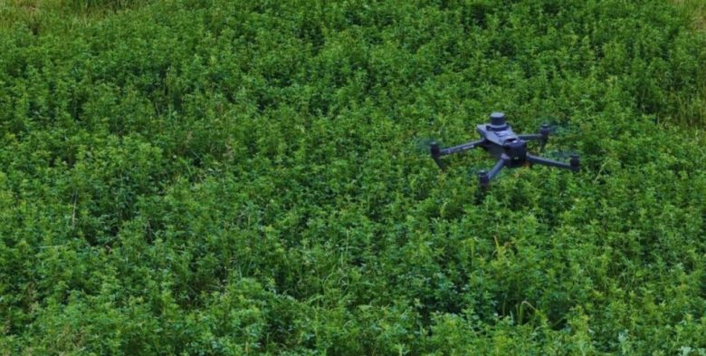 Tecnología de precisión: drones y algoritmos para medir la cobertura de alfalfa