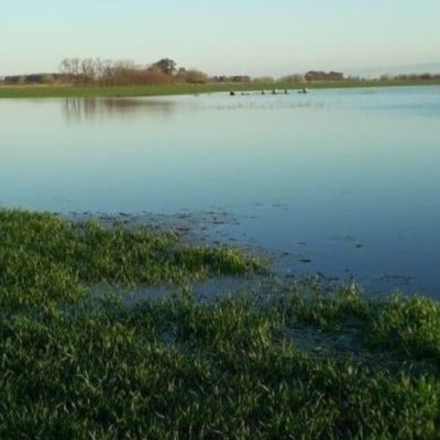 El Niño pierde intensidad y recalculan las perspectivas de lluvias para la primavera en la región pampeana