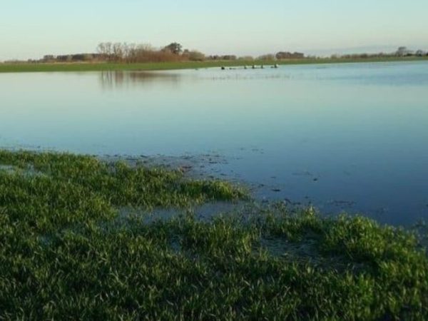 El Niño pierde intensidad y recalculan las perspectivas de lluvias para la primavera en la región pampeana