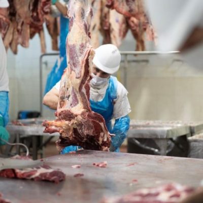 Exportaciones agroindustriales: clave sanitaria para sostener mercados y abrir nuevos destinos