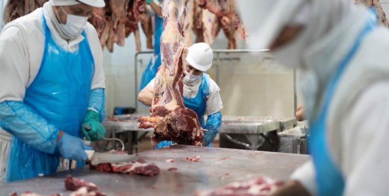 Exportaciones agroindustriales: clave sanitaria para sostener mercados y abrir nuevos destinos