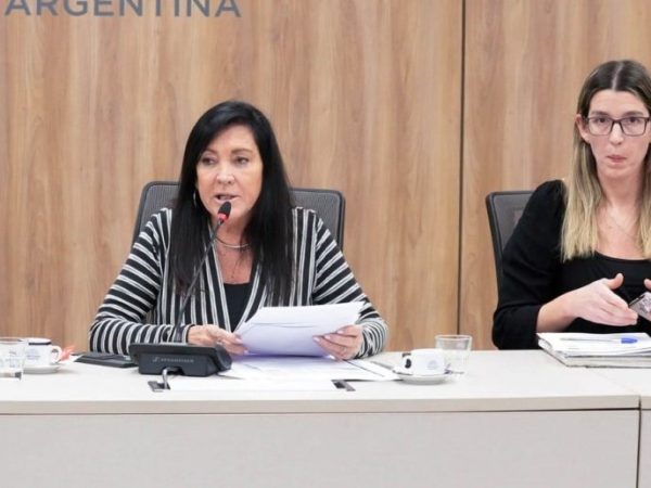 Diputados comenzó a debatir sobre la imprescriptibilidad de los delitos sexuales
