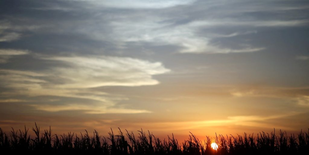 El agro afronta un nuevo cambio de escenario: calor, lluvias y riesgo de heladas