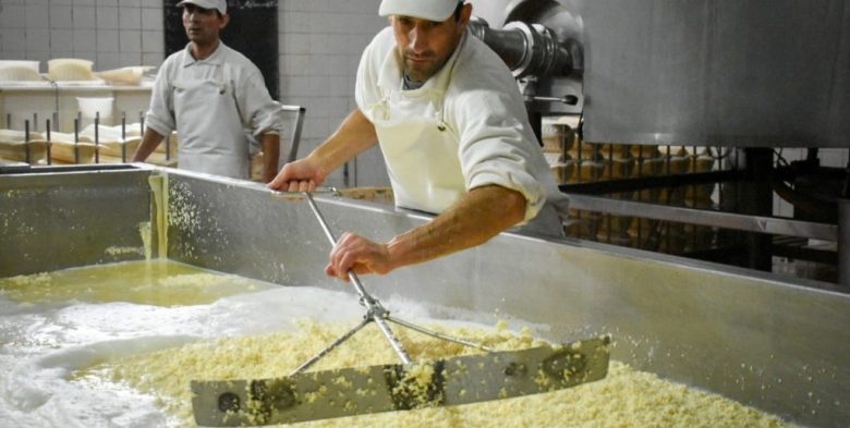 La cadena láctea argentina crece con más producción, calidad y exportaciones millonarias