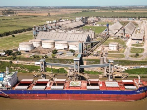 Avanza el megaproyecto portuario de Timbúes: ARCA dio el primer aval aduanero al RIGI